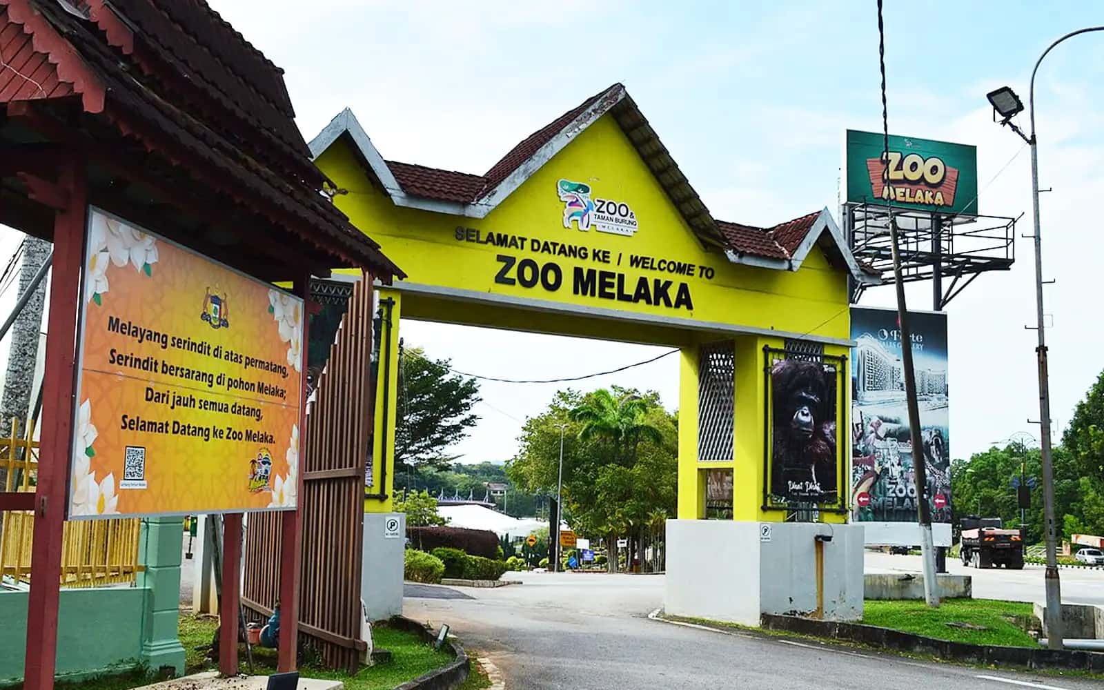Night Activities in Melaka City Visit Zoo Melaka & Night Safari