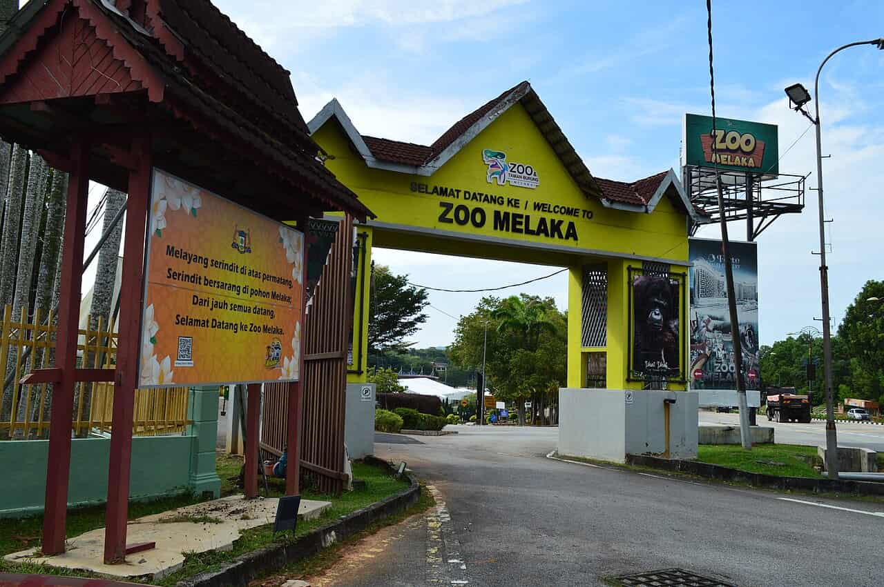 Best Attractions in Ayer Keroh Zoo Melaka