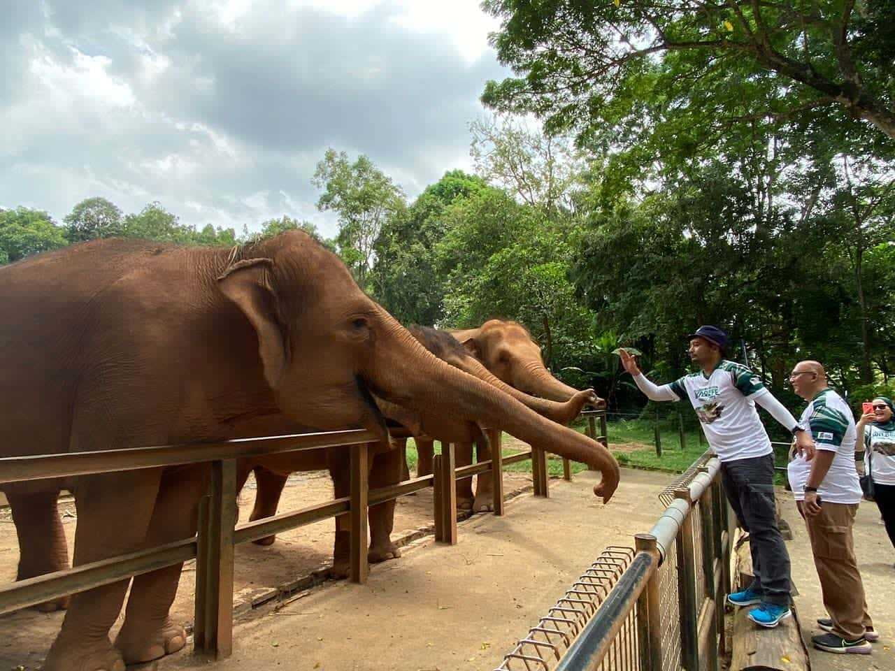 best attractions in melaka to explore Melaka Zoo & Night Safari